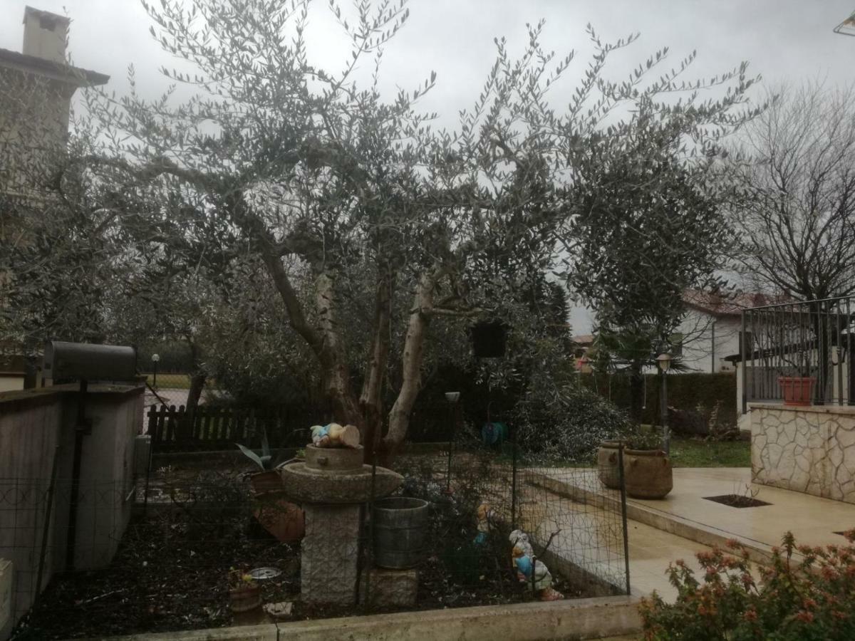 Ferienwohnung La Stella Di Eva Assisi Exterior foto